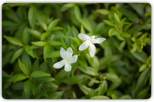 31_25_photo_14p31.png
