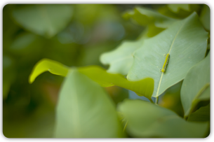 photo_14p30.png