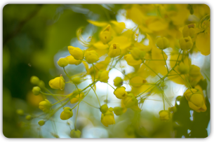 photo_14p32.png