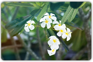 photo_14p33.png